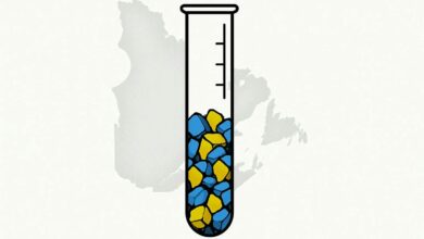 Power Metallic Mines Shares Early Testing For Nisk Project