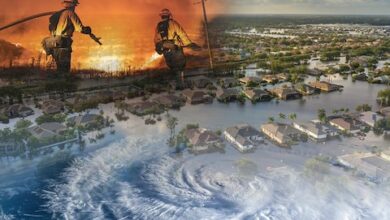 HCMA’s Rosenberg: Unpacking the rise in cat bond market momentum