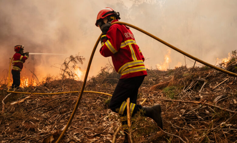 Catastrophe Bonds’ Huge Market Gains Put Reinsurers on Backfoot Catastrophe Bonds’ Huge Market Gains Put Reinsurers on Backfoot