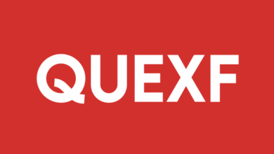 Q2 Metals Appoints Keith Phillips to Board, Grants 1.3M Options