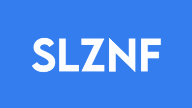 Slave Lake Zinc Secures MIP Funding for O’Connor Lake