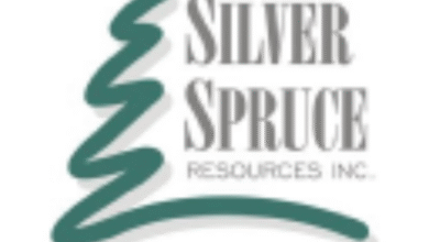 Silver Spruce Resources Sets 1-for-15 Share Consolidation