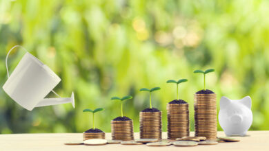 Why the Vanguard High Dividend Yield ETF (VYM) Could Be the ETF to Own in 2025