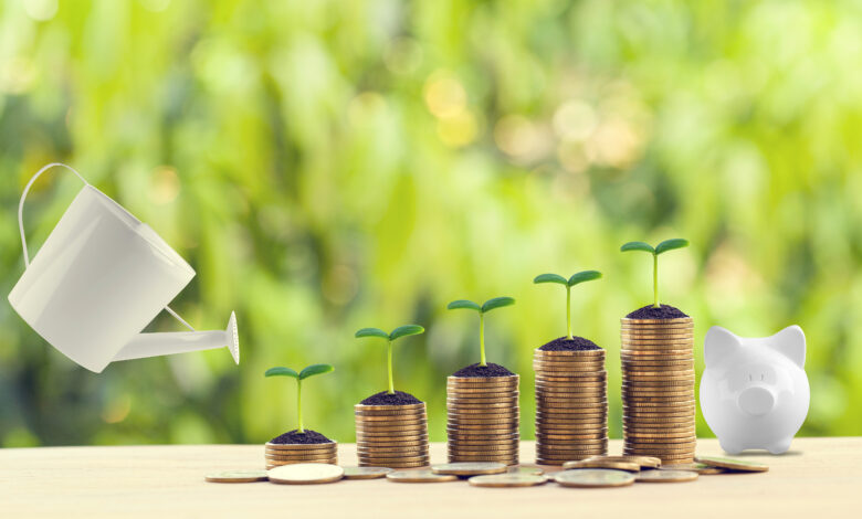 Why the Vanguard High Dividend Yield ETF (VYM) Could Be the ETF to Own in 2025