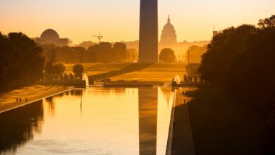 Shutdowns and Market Highs: The Top 3 Questions Investors Are Asking Now