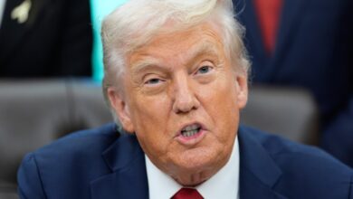 Trump uses government shutdown to dole out firings and punishment