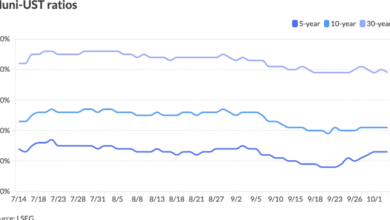 Munis end week steady ahead of .9B new-issue calendar