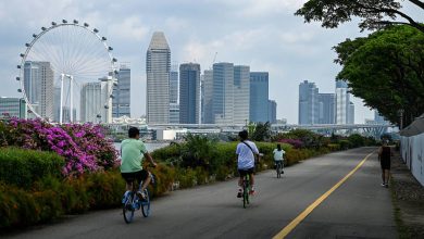 Singapore raises annual growth forecast as third-quarter GDP tops expectations