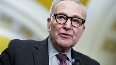 Democratic leader Schumer deal to end government shutdown