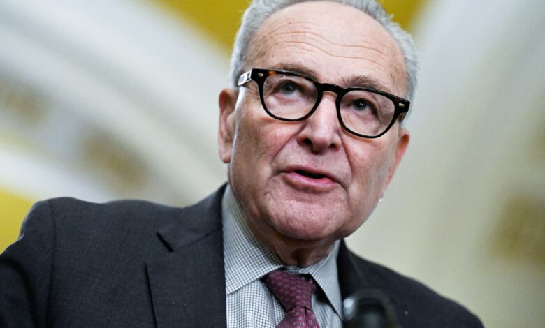 Democratic leader Schumer deal to end government shutdown