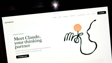 The flow of money in AI appears one-way at this point