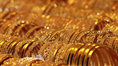 Assessing Agnico Eagle Mines (NYSE:AEM) Valuation After Record Profits, Strong Cash Flows and Growth Project Progress