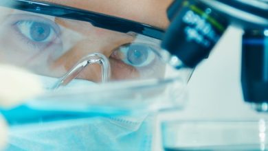 BridgeBio Pharma (BBIO) Valuation Check After Strong Multi Year Returns And Revenue Growth