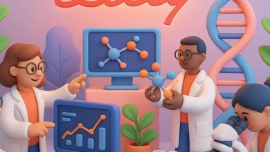 Does Eli Lilly’s Rally Signal a Better Value After Its Weight-Loss Drug Breakthrough?