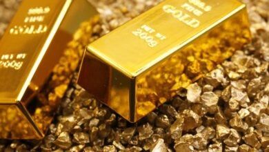 Barrick Gold (NYSE:GOLD) Valuation: Is the Market Underestimating Its Recent Momentum?