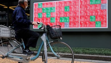 Global stocks rally on rising chances of fed rate cut; dollar steady