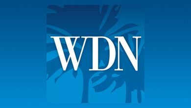 Whittier Daily News: Local News, Sports, Things to Do – Power Metallic (TSXV: PNPN