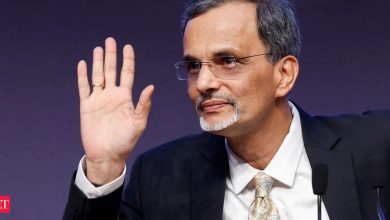 CEA flags concentration of large, well-rated companies in bond market for raising funds