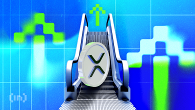 How XRP ETFs Performed in Their Debut Month