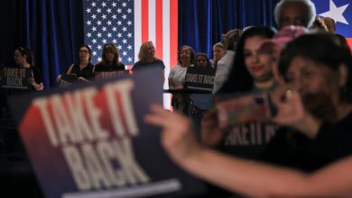 Why Trump’s plan to help GOP keep control of the House could backfire