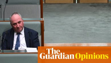 Barnaby Joyce’s scandals have damaged politics. Maybe it’s time for a change of scenery | Tom McIlroy