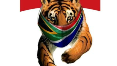 Strong Cash Management and …