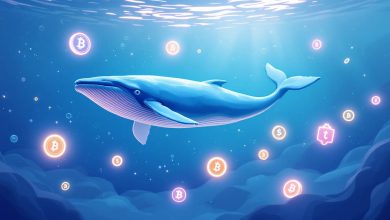 Whale Accumulation: Understanding the Forces Behind Crypto Market Movements