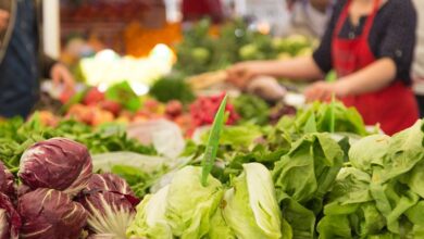 Bunge (BG) Profit Margin Beat Fuels Debate on Earnings Quality After 0M One-Off Gain