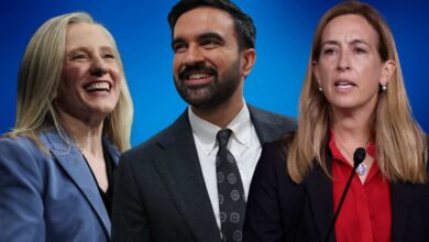 The Biggest Political Takeaways from the 2025 Elections