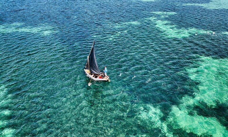 Africa’s Leadership in the High Seas Treaty: Securing Food Futures