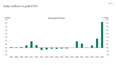 India: Record High Buying of Gold ETFs