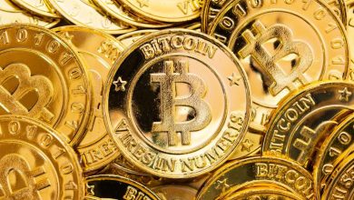 The Great Divergence of 2025