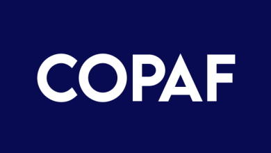 CopAur Minerals to Transfer Williams 100% for 3.3M Shares