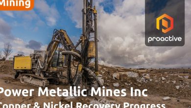Power Metallic Mines advances Lion Zone development with positive mineralogy scan results