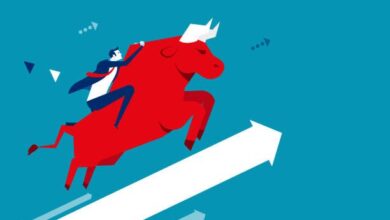 Global Stocks Hit New Highs Can the Rally Continue?