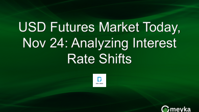 USD Futures Market Today, Nov 24: Analyzing Interest Rate Shifts
