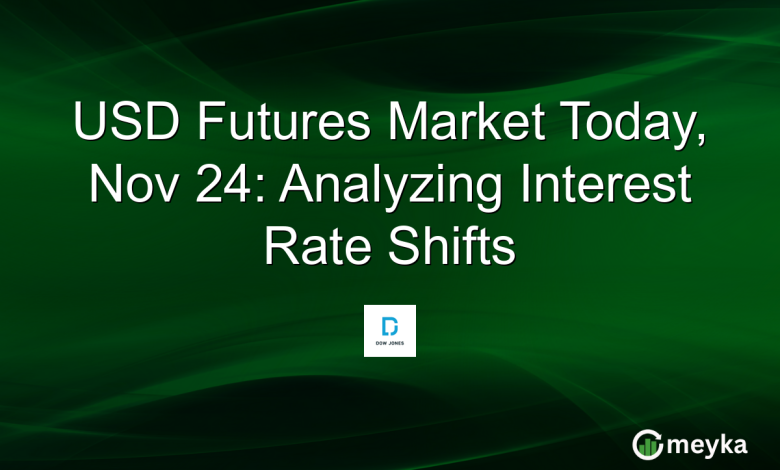 USD Futures Market Today, Nov 24: Analyzing Interest Rate Shifts