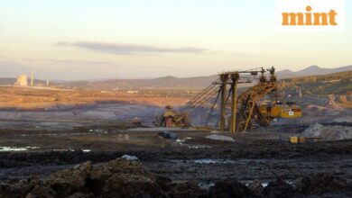 Five small-cap stocks to watch in 2026