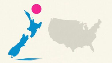 New Zealand’s Market Holds Steady As US Stocks Slip