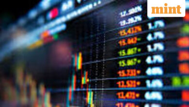 Rapido expects to start working on IPO by 2026-end: Co-Founder Aravind Sanka