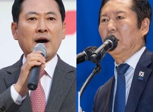 Game of numbers in Korean politics: fight over vote rules