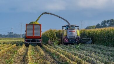 Anglo Asian Mining Secures Copper Sales Agreement with Trafigura