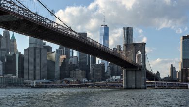 3 Key Contrasts Shaping Market Momentum