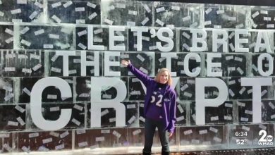 Coinbase sets up 11-foot ice wall at M&T Bank Stadium to promote crypto staking