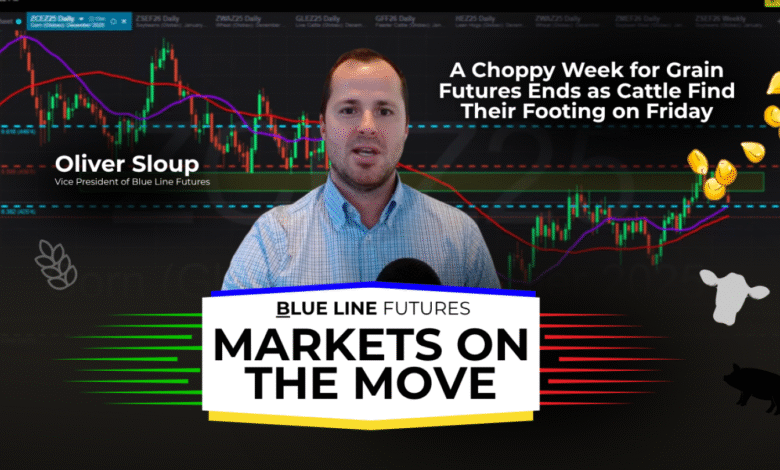 A Choppy Week for Grain Futures Ends as Cattle Find Their Footing on Friday