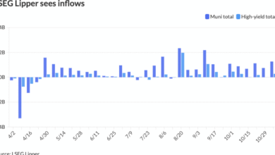 ‘Robust’ fund flows continue to support muni market