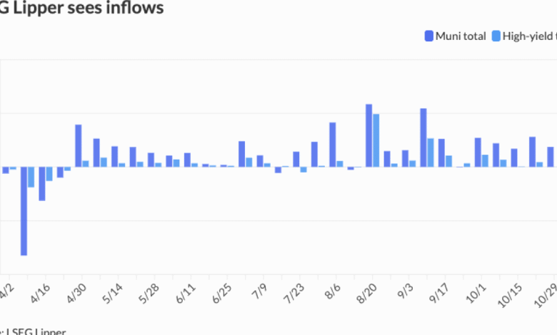 ‘Robust’ fund flows continue to support muni market