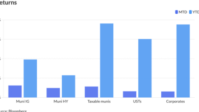 Munis quiet to end October, issuance set to rebound