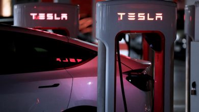 Top trending global stocks of 2025