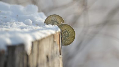 Crypto trips up markets’ festive mood